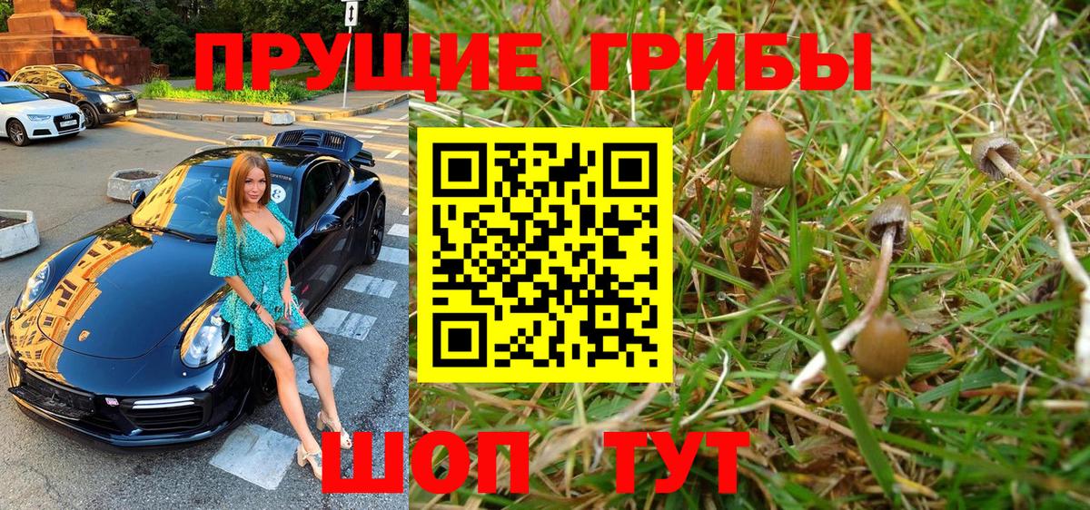 Псилоцибиновые грибы мухоморы Майкоп