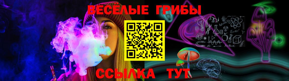 Псилоцибиновые грибы Psilocybe  Галлюциногенные грибы MAGIC MUSHROOMS  Вход с VPN  Майкоп 